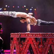 Премьера цирковой программы «Баронеты» фотографии