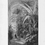 Выставка «К 200-летию указа об учреждении Императорского ботанического сада» фотографии