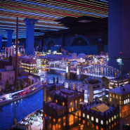 Интересные выставки и экскурсии в Санкт-Петербурге лето 2025 фотографии
