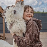 Парк альпак «Пача Мама» фотографии
