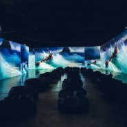 Мультимедийная выставка «Айвазовский и Рерих — ожившие полотна» фотографии