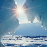 Выставка «Норвегия — Россия: сила притяжения — Арктика» фотографии