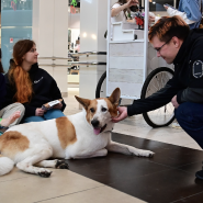 Благотворительный фестиваль «Путь домой» фотографии