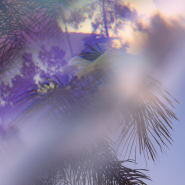 Выставка «Нерассказанные истории» Ольги Нефф фотографии