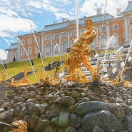 Открытие летнего сезона и торжественный пуск фонтанов в музее-заповеднике «Петергоф» 2024 фотографии