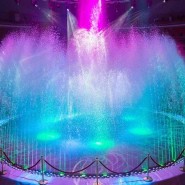 Шоу «Цирк воды, огня и света» фотографии