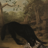 Выставочный проект «Класс зверей и птиц, цветов и плодов. Академические классы XVIII века» фотографии