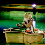 Цирковое шоу на воде «Одиссея» фотографии