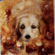 Выставка из акварельных коллекций «Благородные звезды» фотографии