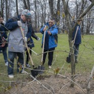 Арт-субботник в Михайловском саду 2019 фотографии