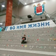 Выставка «Я люблю тебя, Россия!» 2018 фотографии