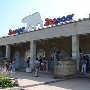 Открытие Ленинградского зоопарка лето 2020 фотографии