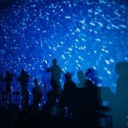 Концерт «Весенняя Классика в темноте» 2018 фотографии