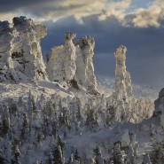 Выставка «Заповедные территории России» фотографии