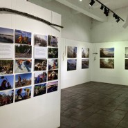Выставка «Ладожские шхеры. Сохраняем то что любим» фотографии