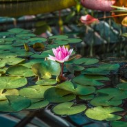 Экскурсия  «Водный маршрут» фотографии