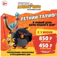 Акция «Летний тариф» в Парке развлечений Angry Birds Activity Park лето 2022 фотографии
