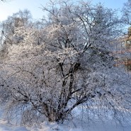 Прогулка по Тропическому маршруту «Приказано выжить!» 2021 фотографии
