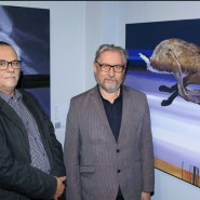 Выставка «Денис Саунин. Слон и прочие овощи» фотографии
