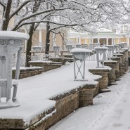 Интересные события в Санкт-Петербурге в выходные 29 и 30 ноября 2025 фотографии
