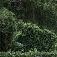 Выставка «Анхела Копелло. Совершенство» фотографии