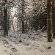 Выставка «Иван Шишкин. Русский лес» фотографии