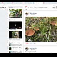 Выставка «Планета грибов» 2021 фотографии