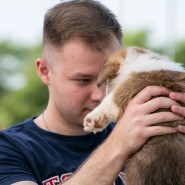 Фестиваль породистых животных «ЛапЛандия» фотографии