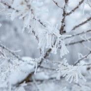 Топ-10 интересных событий в Санкт-Петербурге в выходные 2 и 3 декабря 2023 фотографии