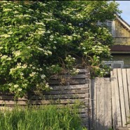 Выставка-превью «Тропы»: художественная версия краеведения фотографии