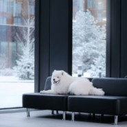 Выставка «Город собак» 2024 фотографии