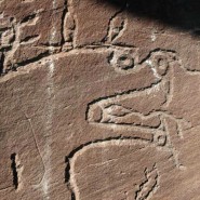 Выставка-исследование о наскальном искусстве «Триллион секунд» фотографии