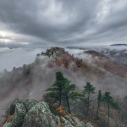 Выставка «Заповедные территории России» фотографии