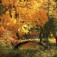Выставка «Осенний вальс» фотографии