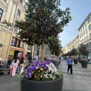 Топ-10 интересных событий в Санкт-Петербурге на выходные 6 и 7 июля 2024 фотографии