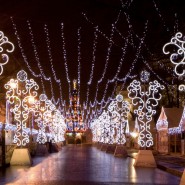 Новогодний Петербург и самые красивые ёлки города 2026 фотографии