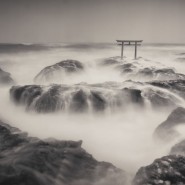 Выставка «Вечная классика» фотографии