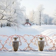 Музей-заповедник Царское село зима 2023 фотографии
