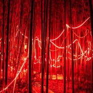 Мультимедийная выставка «Сад Света» фотографии