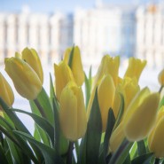 Представительницам прекрасного пола – бесплатно фотографии