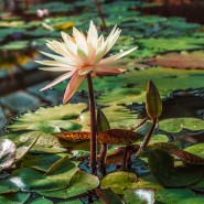 Экскурсия  «Водный маршрут» фотографии