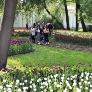 Фестиваль тюльпанов на Елагином острове 2021 фотографии