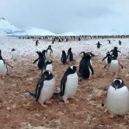 Полнокупольное шоу«Тайны ледяной планеты» фотографии