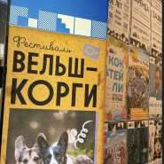 Фестиваль «Собак вельш-корги» фотографии