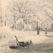 Выставка «Серебряная осень старого Петергофа» фотографии