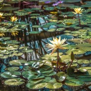 Экскурсия  «Водный маршрут» фотографии