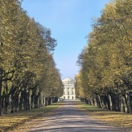 Интересные события в Санкт-Петербурге в выходные 31 октября и 1 ноября 2026 фотографии
