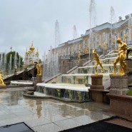 Летний сезон в парке Петергоф 2023 фотографии