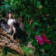 Мир сказочных приключений в музее «Бестиарий» фотографии