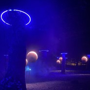 Мультимедийная прогулка «Сад Света» 2021/22 фотографии